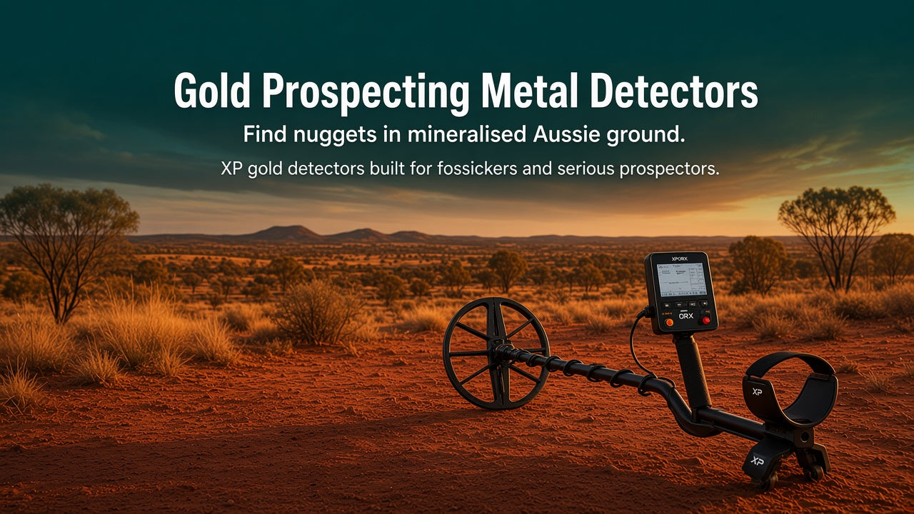An XP Gold prospecting metal detector in the desert