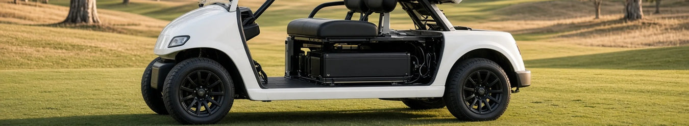Golf Cart Batteries Collection photo