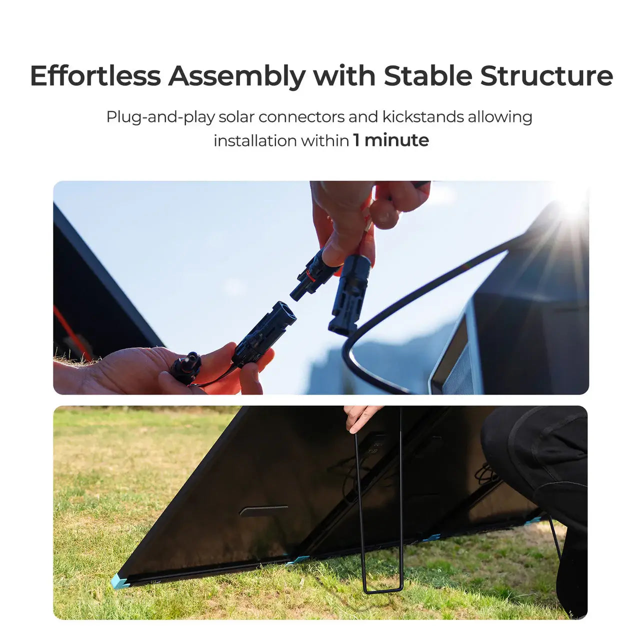 300W Renogy Solar Stable Structure infographic