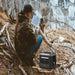 Aeon_Guardians_Power_Station_to_power_the_drone, man in the woods