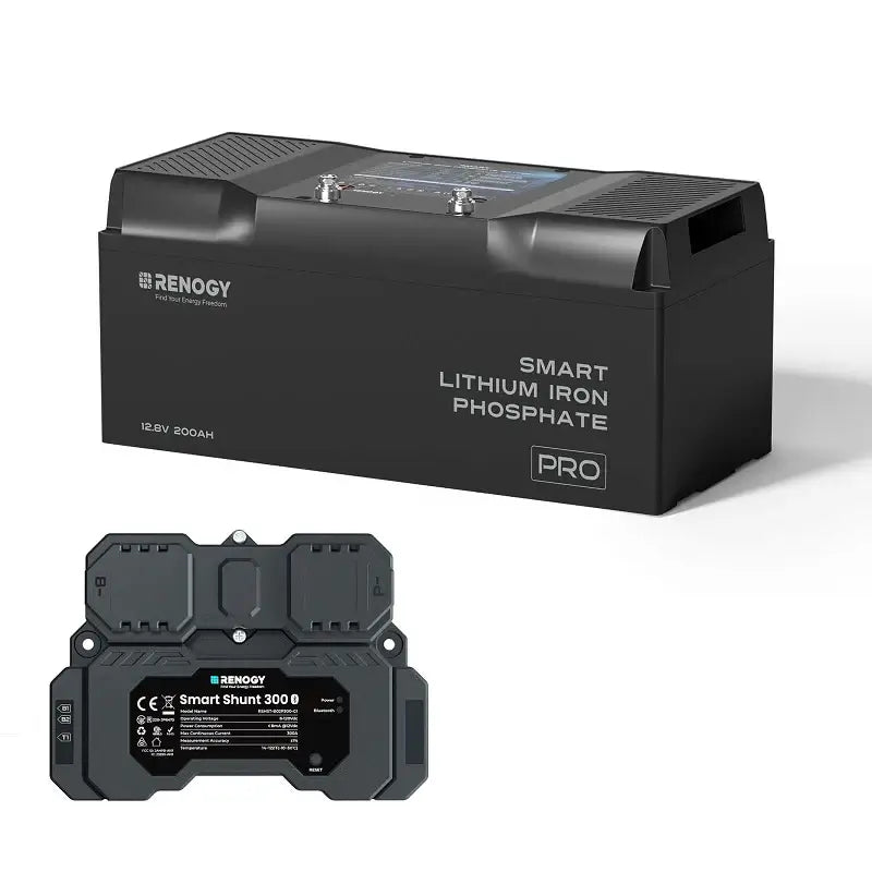 Renogy pro 200ah lithium battery on a white background